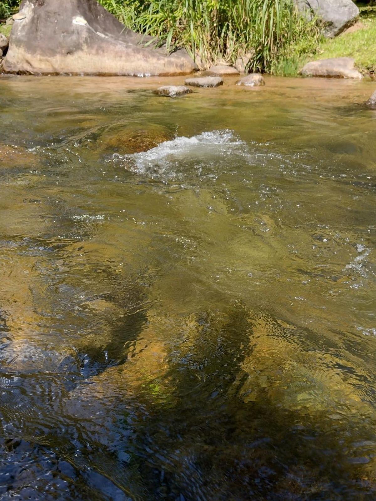 Pousada Toque De Minas Visconde De Maua Dış mekan fotoğraf